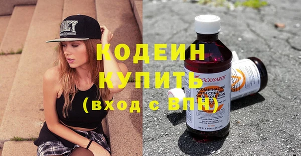 хмурый Арсеньев