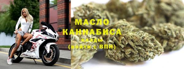 хмурый Арсеньев
