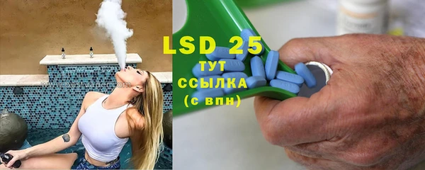 прущие грибы Алексеевка
